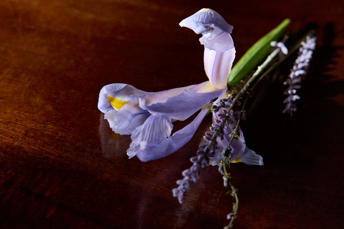Iris Debonair: A Different Cut