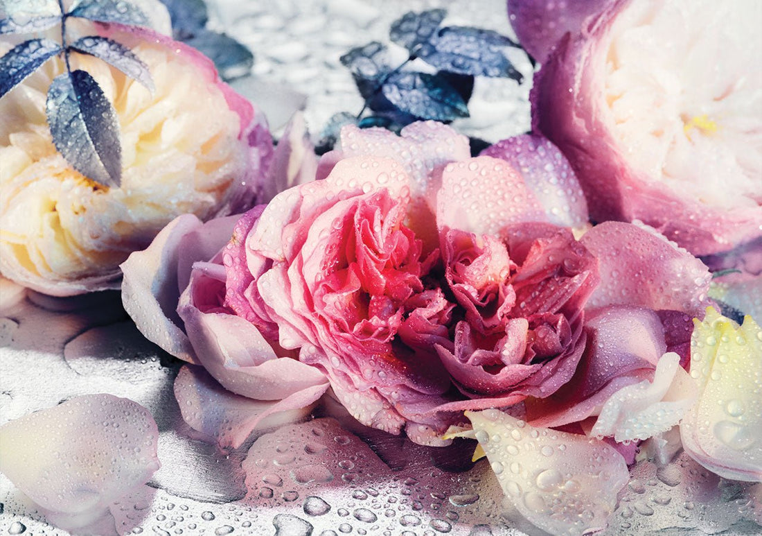 Floral Fragrances From The House of Creed
