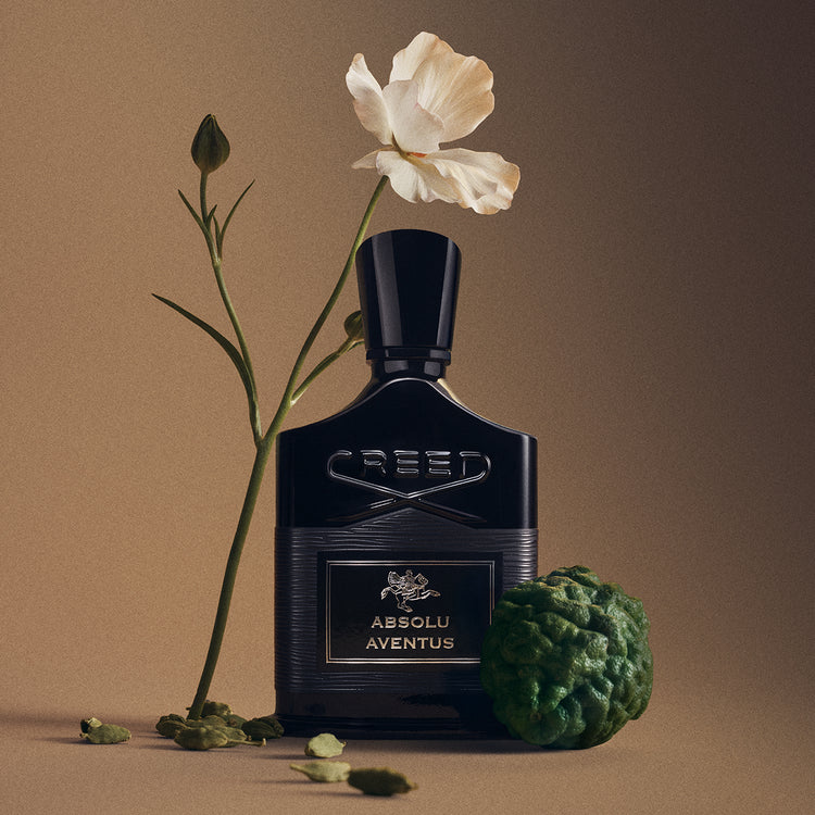 Absolu Aventus