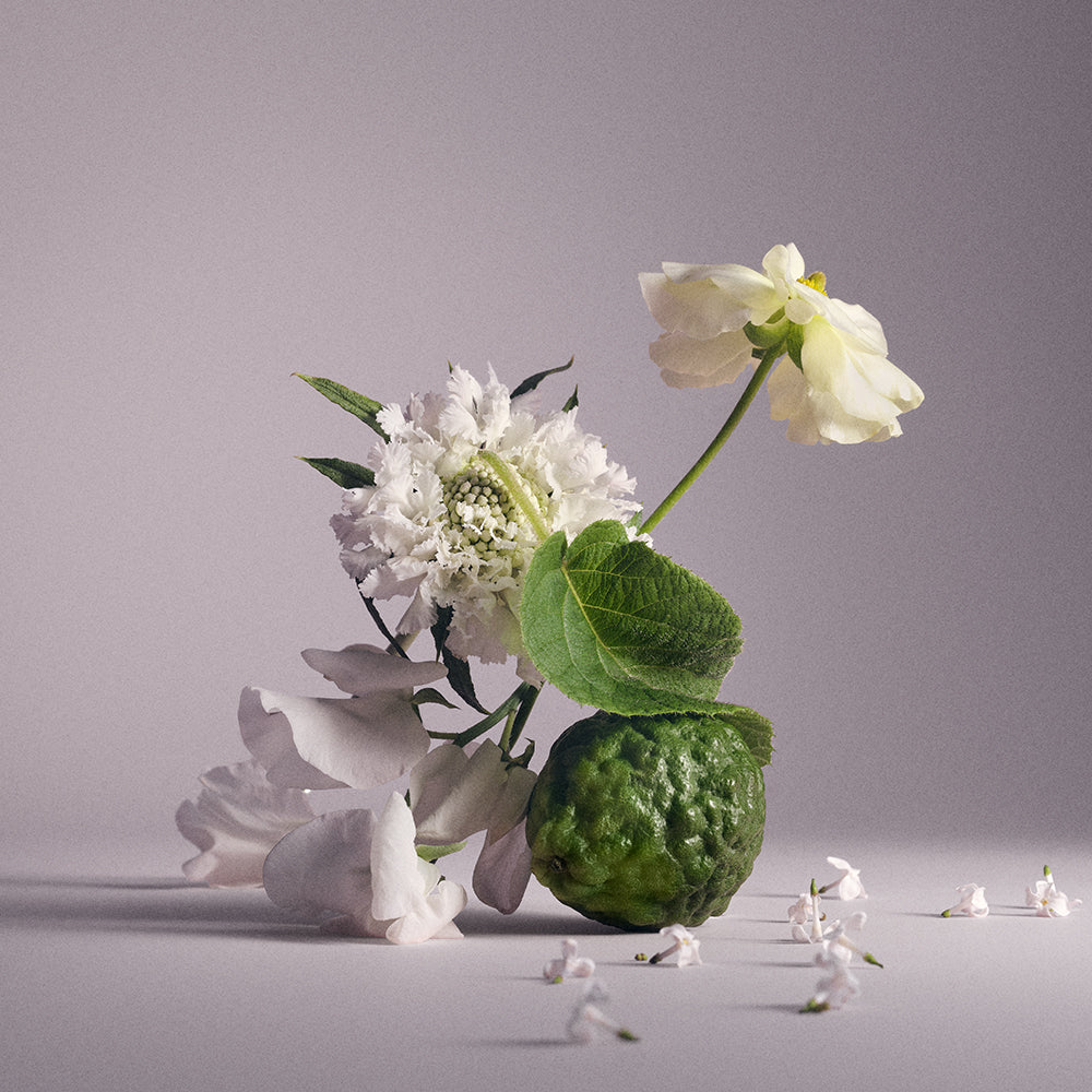 Wind Flowers